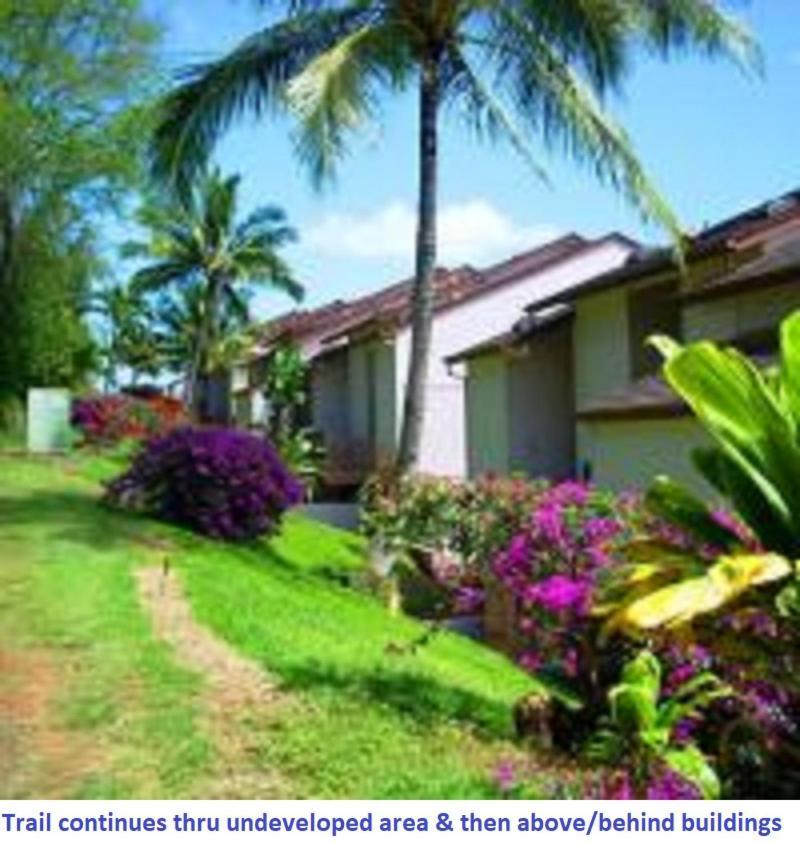 Banyan Harbor Aparthotel Lihue Exterior photo